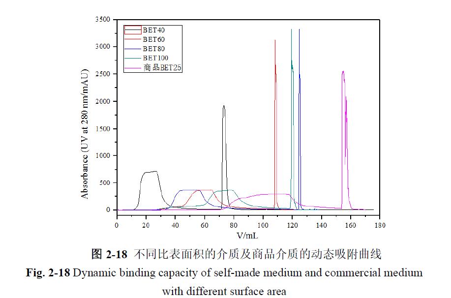 阳离子交换层析介质的制备及蛋白吸附性能评价